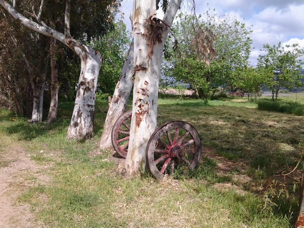 Agriturismo Spinalva Perfugas Kültér fotó
